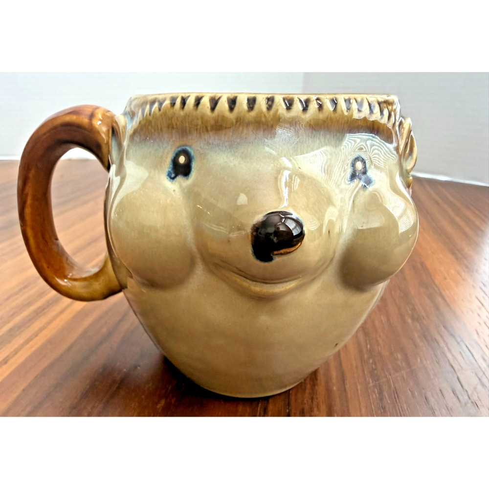 3D Hedgehog Coffee Tea Mug Large 20 oz Gibson Home Ceramic Figural Succulant Cup